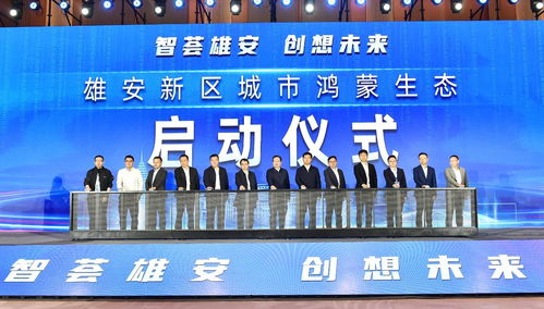雄安新區(qū)舉辦2023軟件和信息技術(shù)服務(wù)業(yè)創(chuàng)新發(fā)展論壇，聚焦信息技術(shù)咨詢服務(wù)